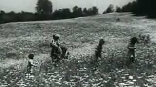 Jerry Garcia - Sugaree (Studio Version)