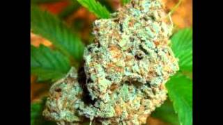 CRYSTAL COMATOSIS - DaveDean YreWunn, 8OfSpades, Breezy