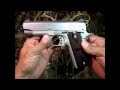 Kimber Stainless Pro Carry II - A Close Up Look