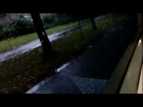 Syntus Overijssel Lijn5 Westenholte/Busstation/NS