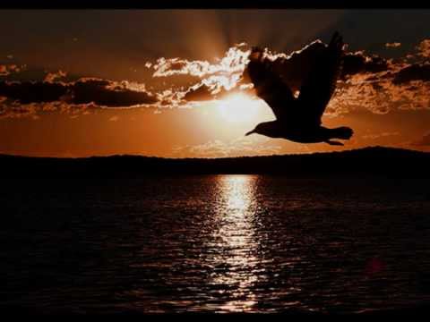 Stereo Nova - Σημείο Ζωής