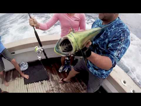 Bimini bay reel