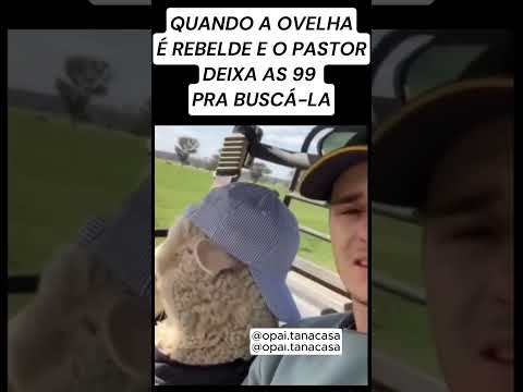 Quando a Ovelha é Rebelde o Pastor Deixa as 99 Pra buscar a 100 | Só Jesus Na Vida do Pastor
