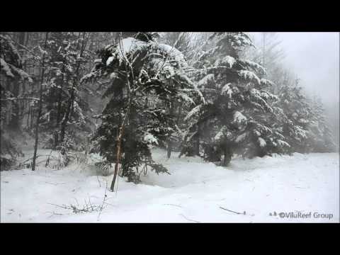 吹雪60min/Snowstorm/Healing,Relaxing,Sleep Sounds