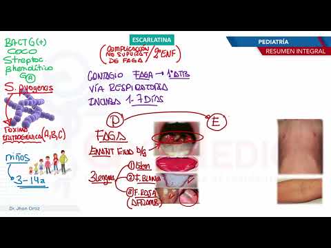 Pediatría - Exantema   Escarlatina
