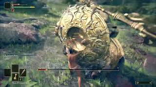 Naked Man With A Stick Destroy The First Boss In Elden Ring at Elden