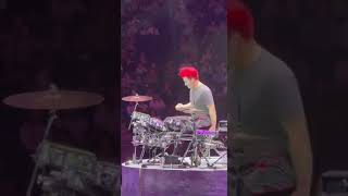 ชาชา สโรชา