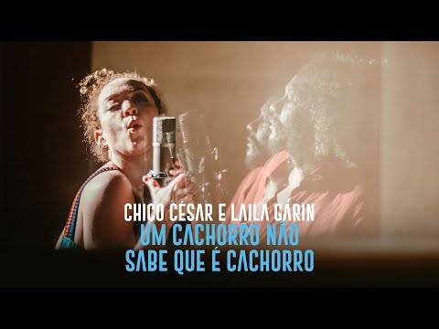 CHICO CESAR e LAILA GARIN - Um cachorro não sabe que é cachorro [CLIPE OFICIAL]