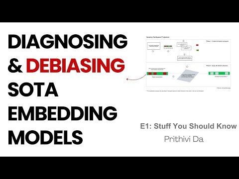 E1: SYSK - Diagnosing and Debiasing SoTA Embedding Models, step by step
