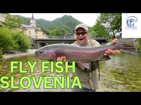 Fly Fishing Slovenia