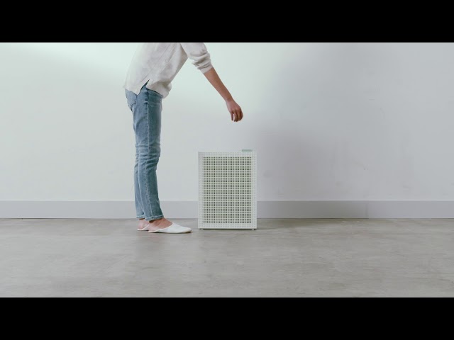 Coway AirMega 150: Cartridge type Filters for first time