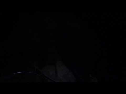 Bunny #1 Duerme (Keith Rowe sounds)