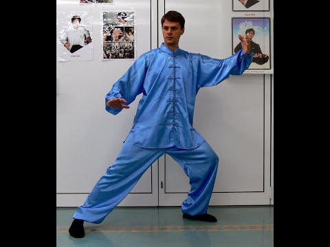 Cezar Culda - Taijiquan - explicarea catorva miscari