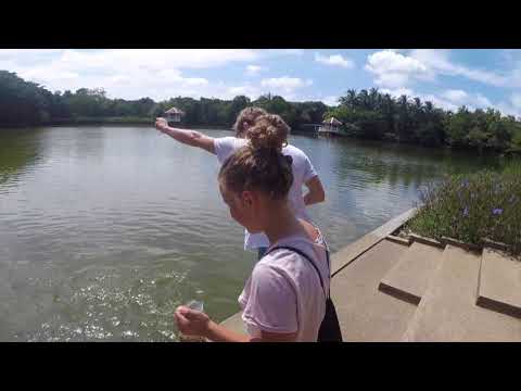 Colors of Bangkok 20180804 Niinoi - Cycling in Bangkok - Radfahren in Bangkok - Fietsen in Bangkok