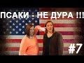 Helpers #7 ПСАКИ - не дура!!! 