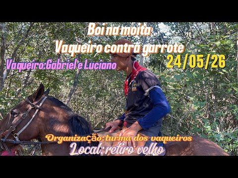 1• Carreira do boi pé de pano local retiro velho alto longa #pega de boi 