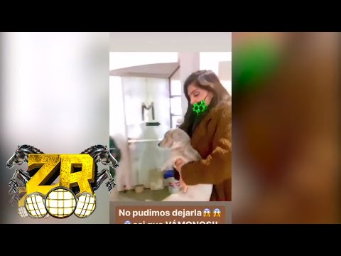 ANA BÁRBARA DESATADA! - Adopta a un Perro - Se presenta en Boda | Zona Regional