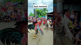Download lagu pertarungan paling sengit abad ini #usa #jaranan #barongan #viral #fyp #viralvideos mp3