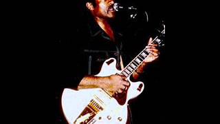 Jimmy Dawkins - Chicago Blues Festival. 1987