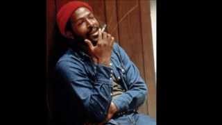 Marvin Gaye - Sanctified Lady