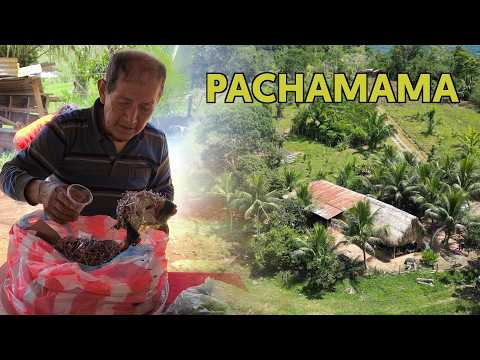 LA TRADICIONAL CH'ALLA AGROPECUARIA | Así se lo vive en Alto Beni