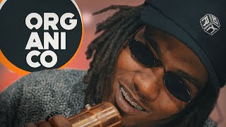 Orgânico - San Joe - Entre Flores