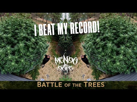 "Battle Of The Trees" |  I BROKE MY RECORD! |Ep. 13 Bleezy's Patch Worlds (Biggest Plant Contest)