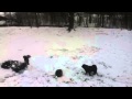 Goodbye Snowman