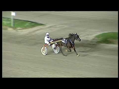 Napoli Trotto 3/12/2021 - 2ª prova di qualifica