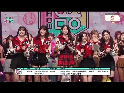 Idols reaction to Blackpink Jisoo Flower (ft. Ive, Nmixx, NCT, Straykids)