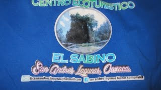 preview picture of video 'Proyecto de Ecoturismo en San Isidro Lagunas y San Andres Lagunas Oaxaca'
