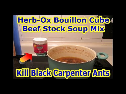 Kill Black Carpenter Ants - Herb-Ox Bouillon Cube Beef...