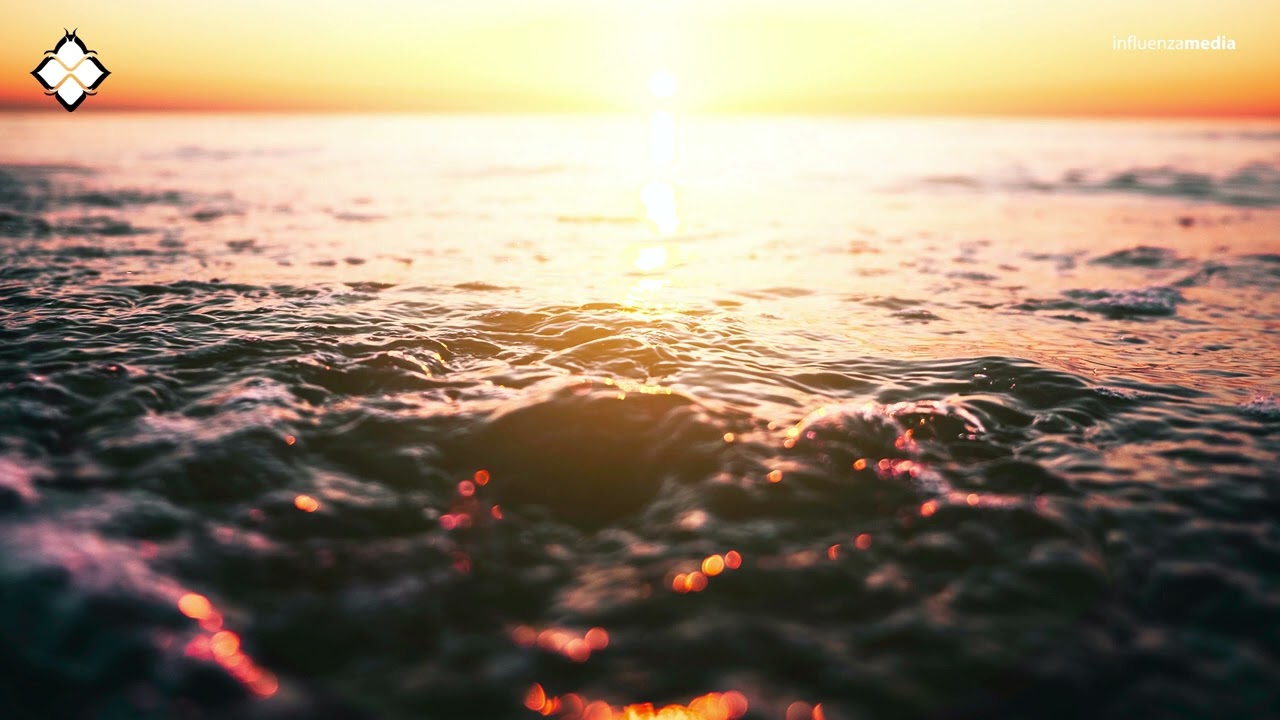 Scatterbrain - Still In Love