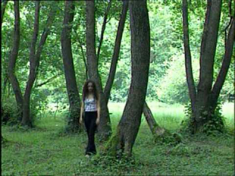 Zijad Sipovic - ne pitaj me.flv