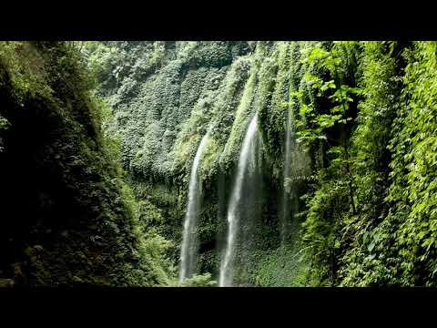 Sound of Nature to relax study sleep #soundofnature #relaxing #relax