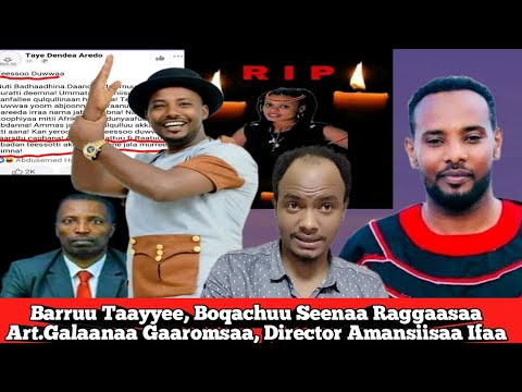 Galaanaa Gaaromsaa, Amansiisaa Ifaa, Ajjeechaa Seenaa Raggaasaa, Barruu Taayyee Danda'a 2021