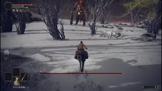 [エルデンリング]火の巨人　レベル１で挑む