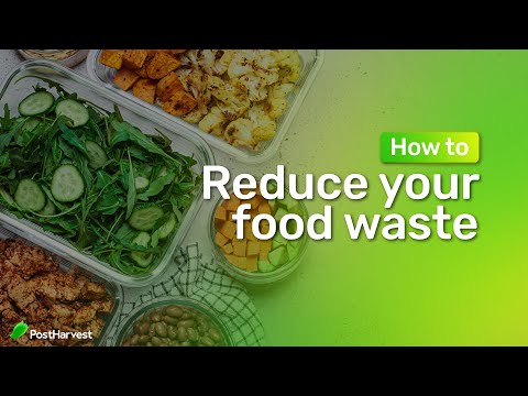 How to: Reduce Your Food Waste