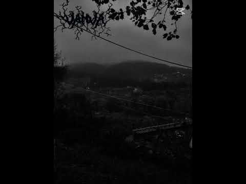 Wings of fire -Vamva