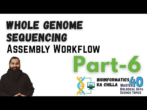 Whole Genome Sequencing Assembly Workflow Part 1 From Zero to Hero