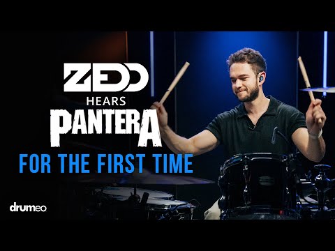 Zedd Hears Pantera For The First Time