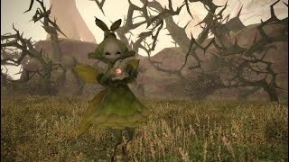 ［実況］MMO&amp;実況初心者が送るFF14 #136［家出シルフさんを捜索してたら悪い子シルフさんも出現！］