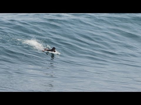 When The Wind Disappears – Uluwatu