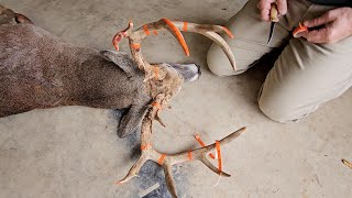 Download lagu Scoring Phil's 13 Point Missouri Buck! mp3