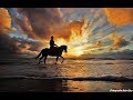 Donna Musica Tekst Download Audio Mp3 and Mp4