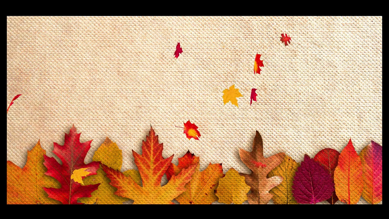 FREE NO COPYRIGHT FULL HD ANIMATED NATURE AUTUMN LEAVES RELAXING CALM VIDEO TEMPLATE