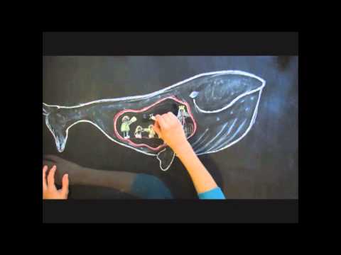 Versengold- Seemannsgarn / Unofficial Video