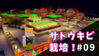 #09 【マイクラ】 サトウキビ栽培始めます！「MINECRAFT (PS4版)」