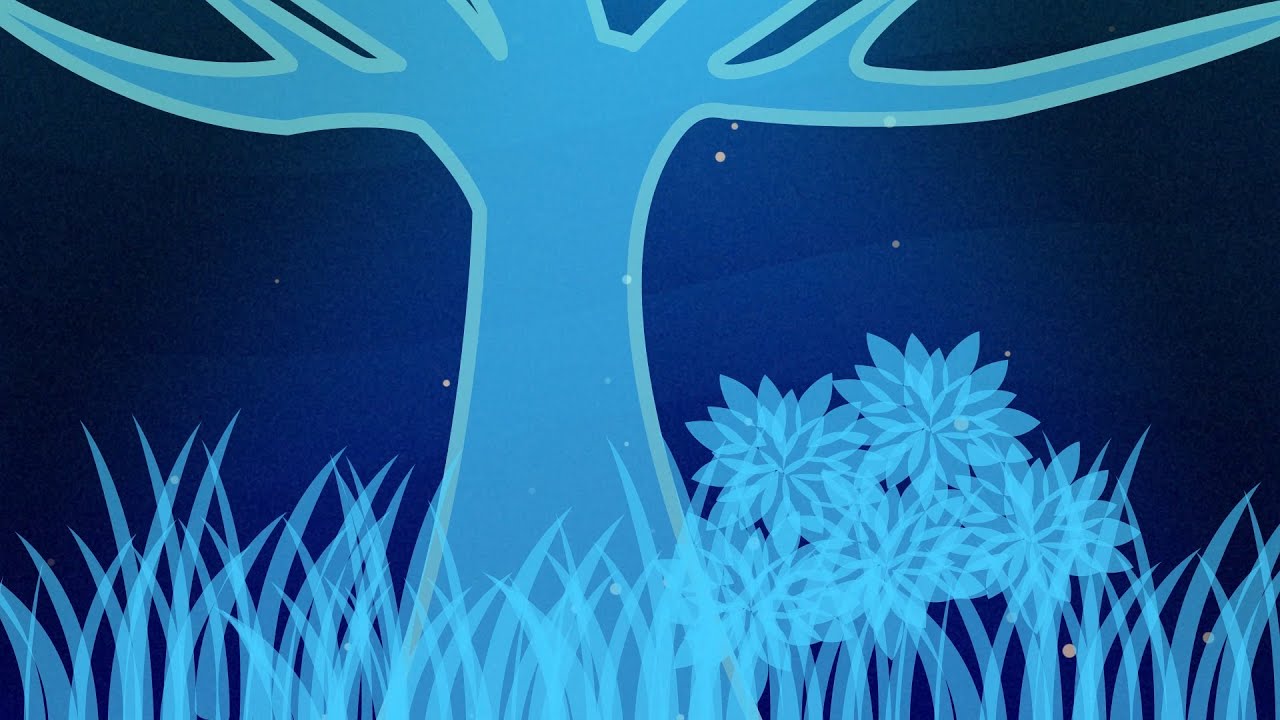 Hidden CO2 Reservoir Discovered Deep Within Ancient Oceanic Crust