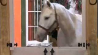 Miley Cyrus Hannah Montana - Ordinary Girl Music Video